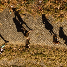People walking on path